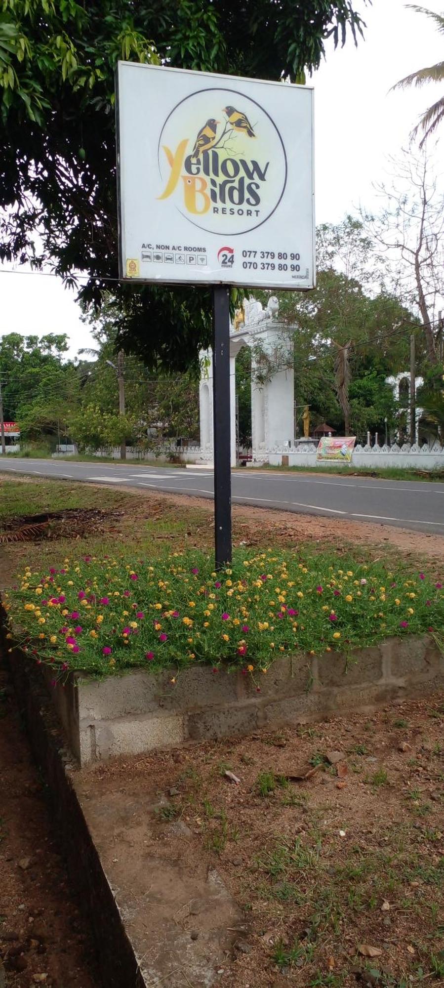 Yellow Birds Resort Anuradhapura Exterior photo